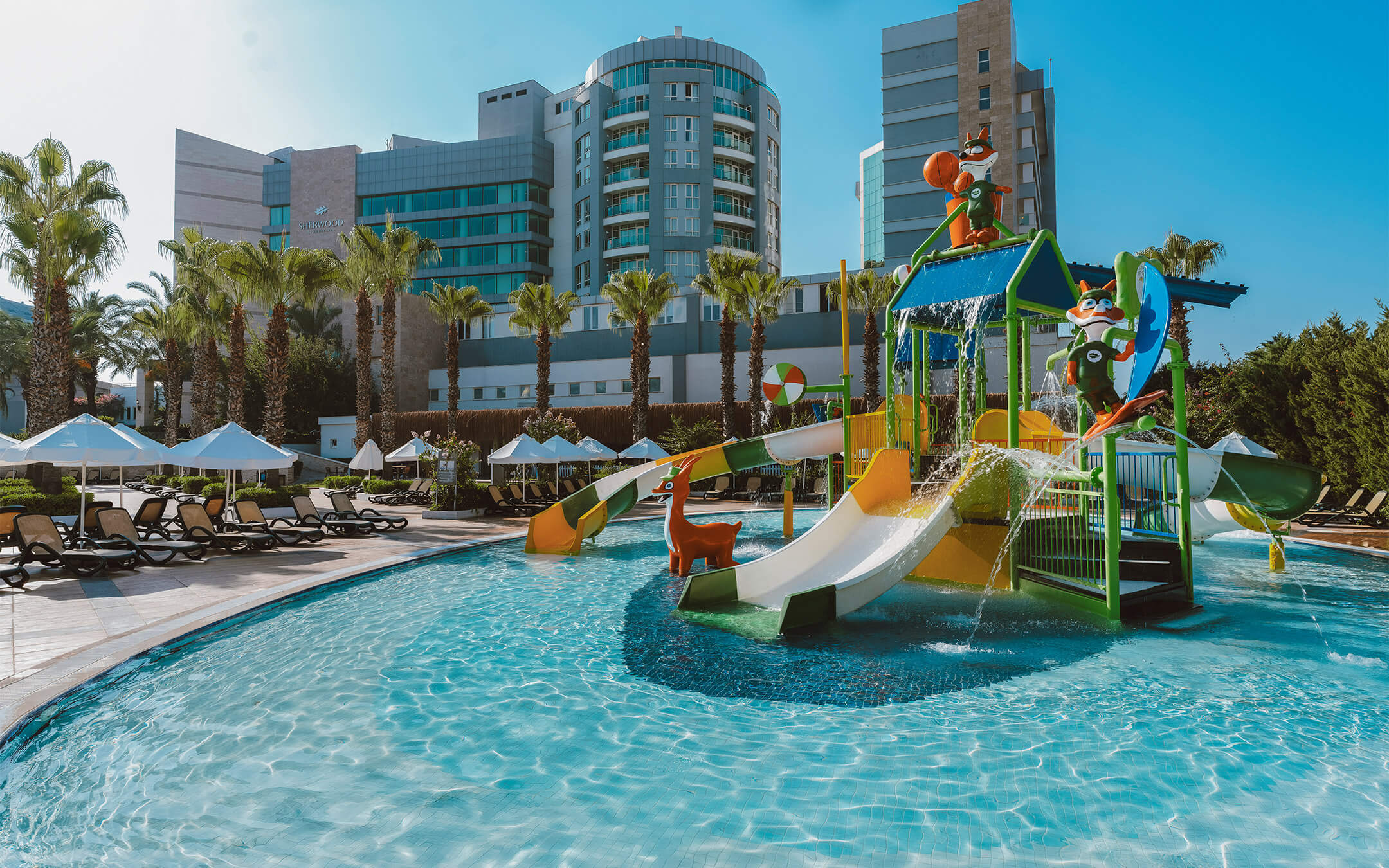Slide Pool (For Children)