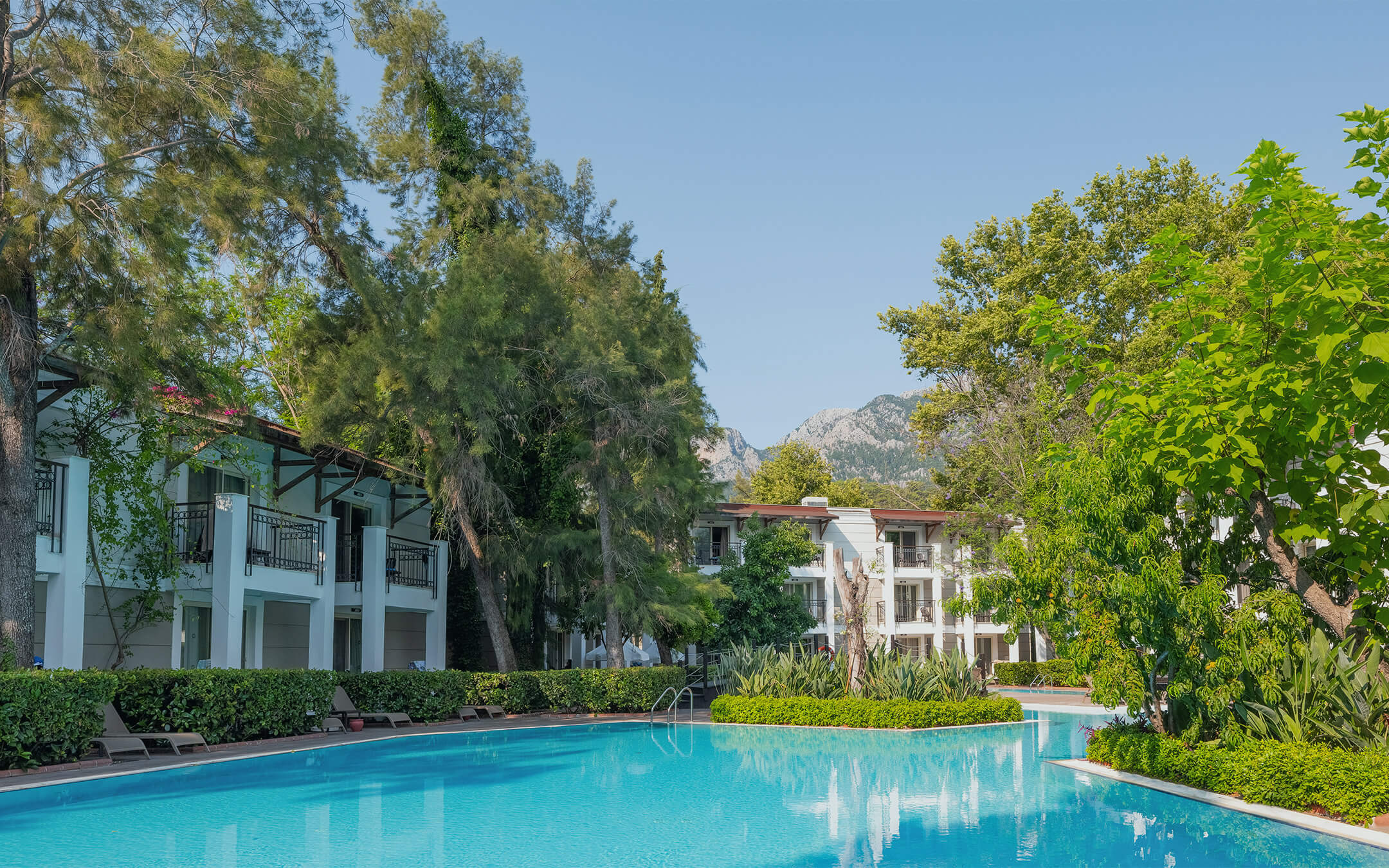 Swim Up Pool