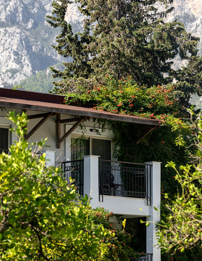 Oda Özellikleri