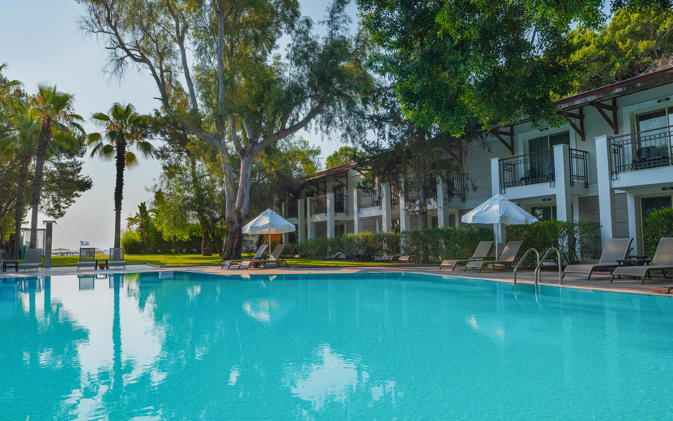 Okaliptus Pool